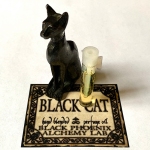black cat edgy